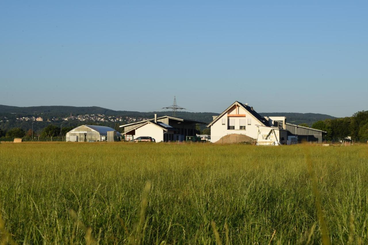Einladende Ferienwohnung Auf Bauernhof In Sinzig Eksteriør bilde